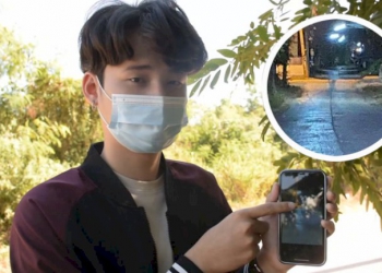 ไม่พลาดตีเลข-วัวชนชื่อดังเมืองตรัง-คลอดลูกมี-5-ขา-2-กีบ-–-ไทยรัฐ