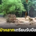 มวลน้ำป่าบนเขาบรรทัดไหลหลาก-หลายหน่วยงานใน-จ.ตรังสั่งเตรียมรับมือน้ำท่วม